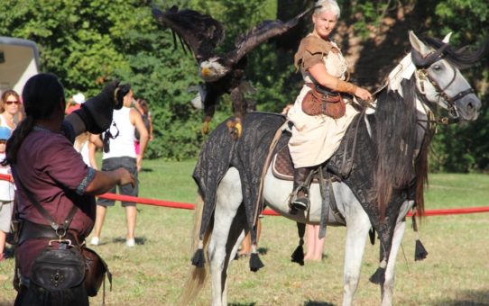 Photos du Charivari 2015